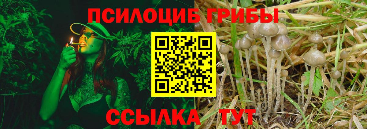 Галлюциногенные грибы MAGIC MUSHROOMS  Вход с VPN  Саяногорск 